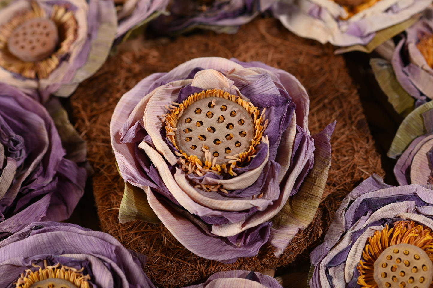 Whole Lotus Flower Tea