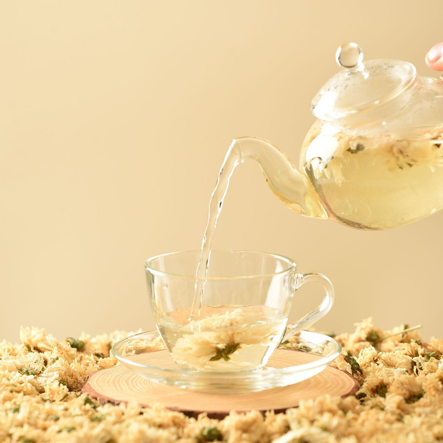 White Chrysanthemum Herbal Tea